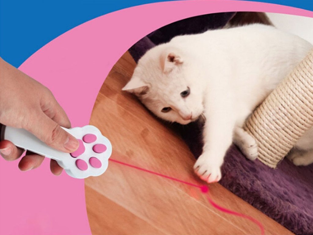 Laserpointer Rot Gratis Lieferung sehr Stark Präsentation Katze Hund Spielzeug